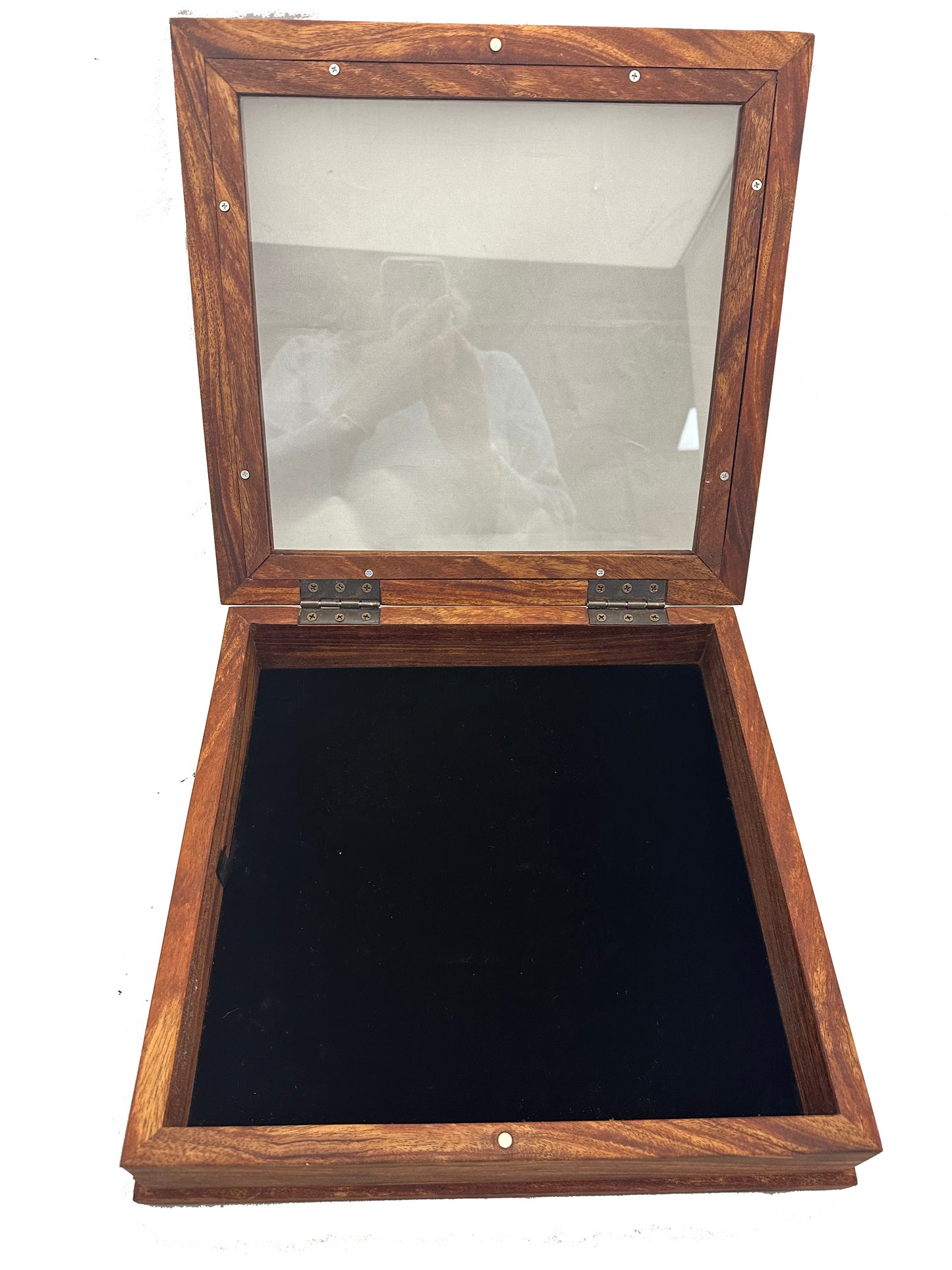 Scissor Display Case